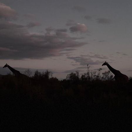 Wildehondekloof Game Lodge Matjiesrivier  Exteriér fotografie