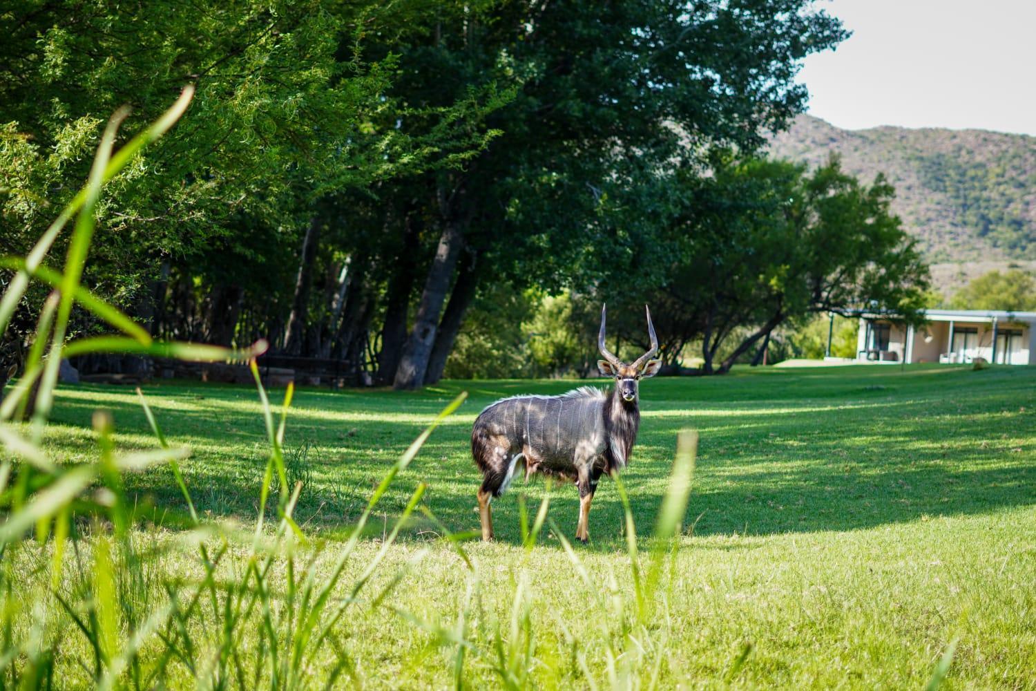 Wildehondekloof Game Lodge Matjiesrivier  Exteriér fotografie